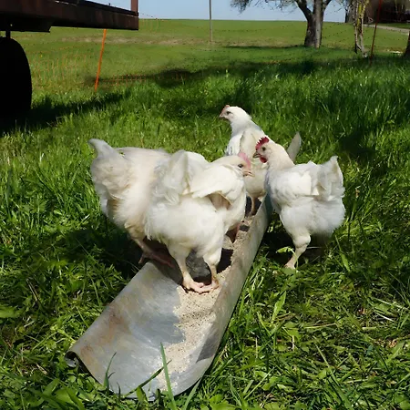 Casa Rural Διαμέρισμα Nerenstetten