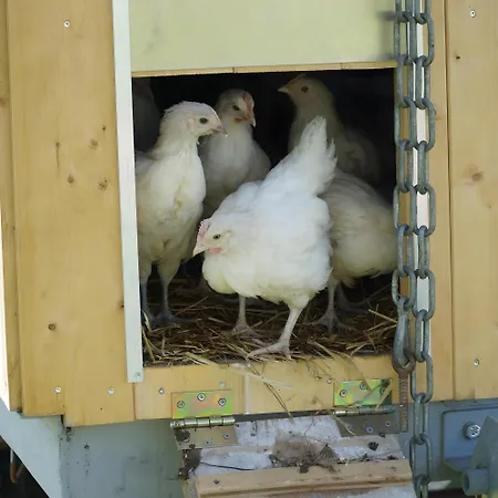 Casa Rural Διαμέρισμα *