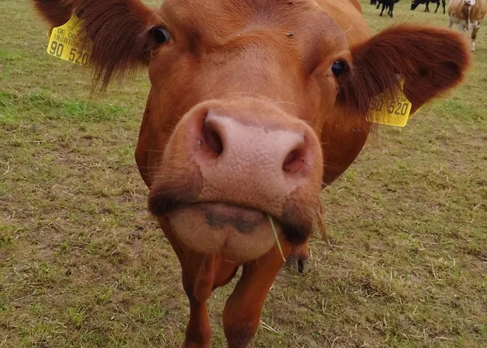 Casa Rural 아파트 Nerenstetten